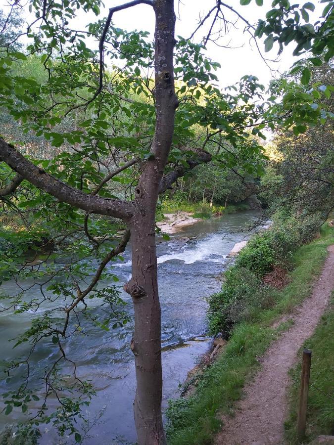Bonita Cabana De Los Arboles En La Rioja , Durmiendo Entre Arboles Anguciana Eksteriør billede