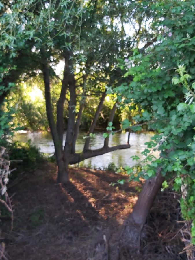 Bonita Cabana De Los Arboles En La Rioja , Durmiendo Entre Arboles Anguciana Eksteriør billede